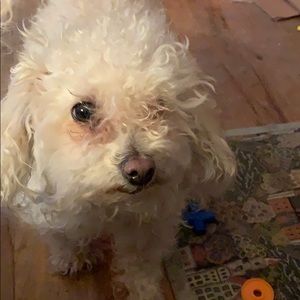 Meet your Posher, Greg